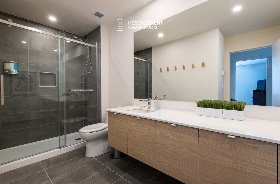 MGR-750:  Condo 4e étage - Penthouse avec vue, perché au-dessus du Fleuve St-Laurent.