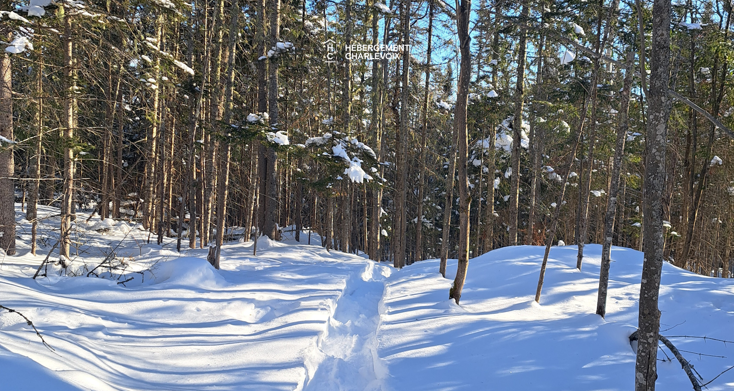 AAC-675 - Situé dans un secteur très boisé.