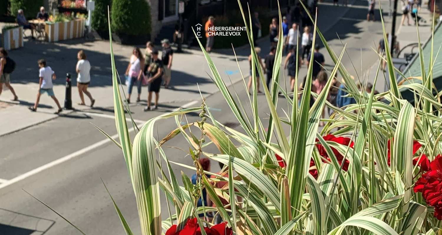 ALC-28 - Joli appartement situé en plein cœur de l'une des plus belles rues de Charlevoix.