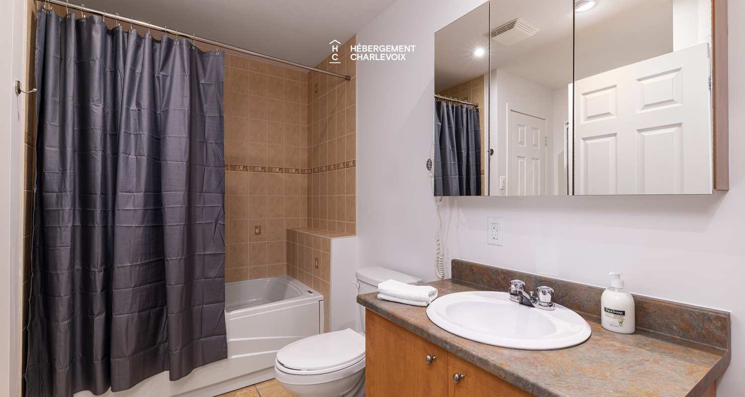 ANC-25-1 - Offer yourself a stay in Charlevoix in all its grandeur !