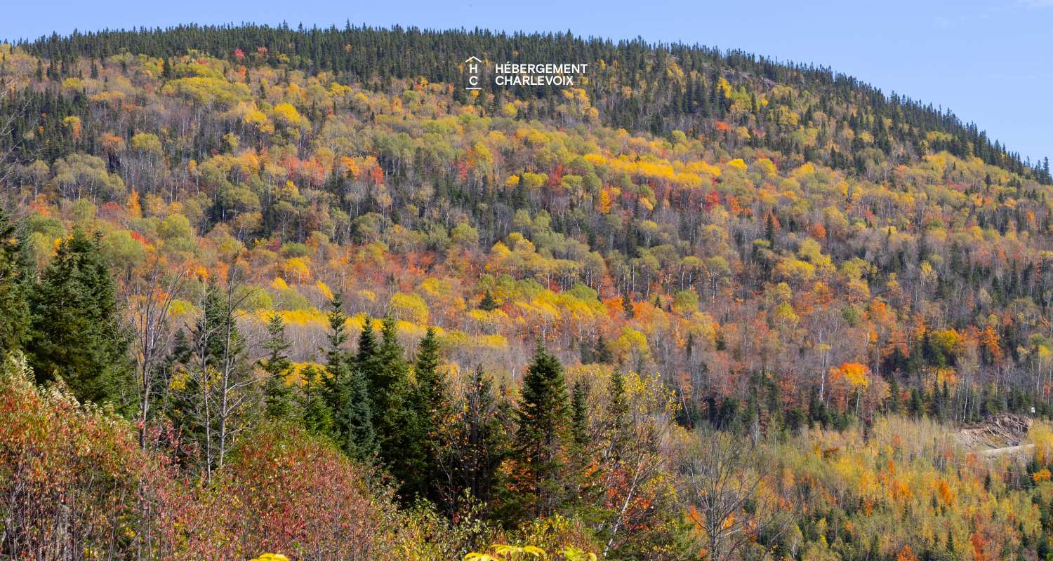 ANG-95 - Escapade in a relaxing and woody atmosphere