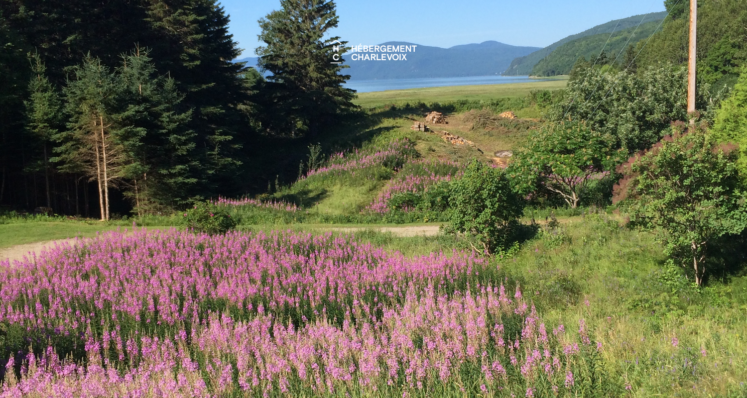 ANSE-883 - Secteur paisible à proximité du fleuve