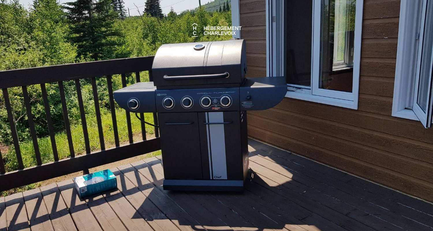 AVA-269 - Chalet near the Gabrielle-Roy Trail in Petite-Rivière St-François