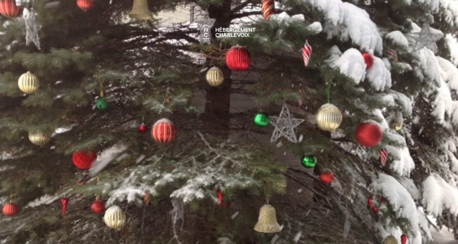 BEL-175 - the serenity of its panorama on cape, river, island and river