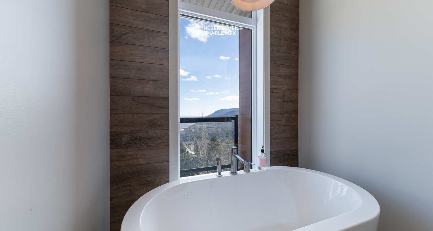 BRI-43 - Une vue panoramique sur fleuve et montagnes