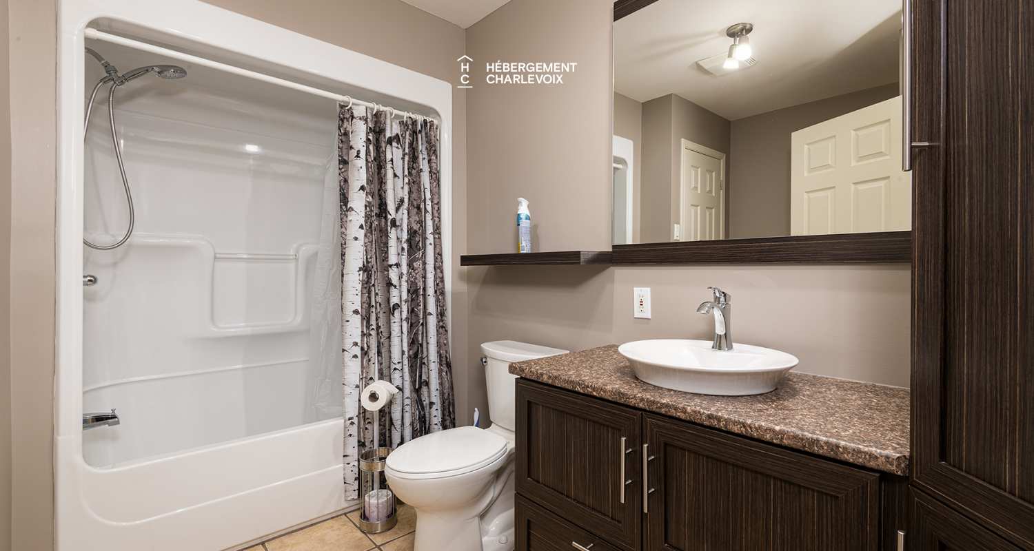 CIN-57-1 -  Large chalet with 2 units and river view