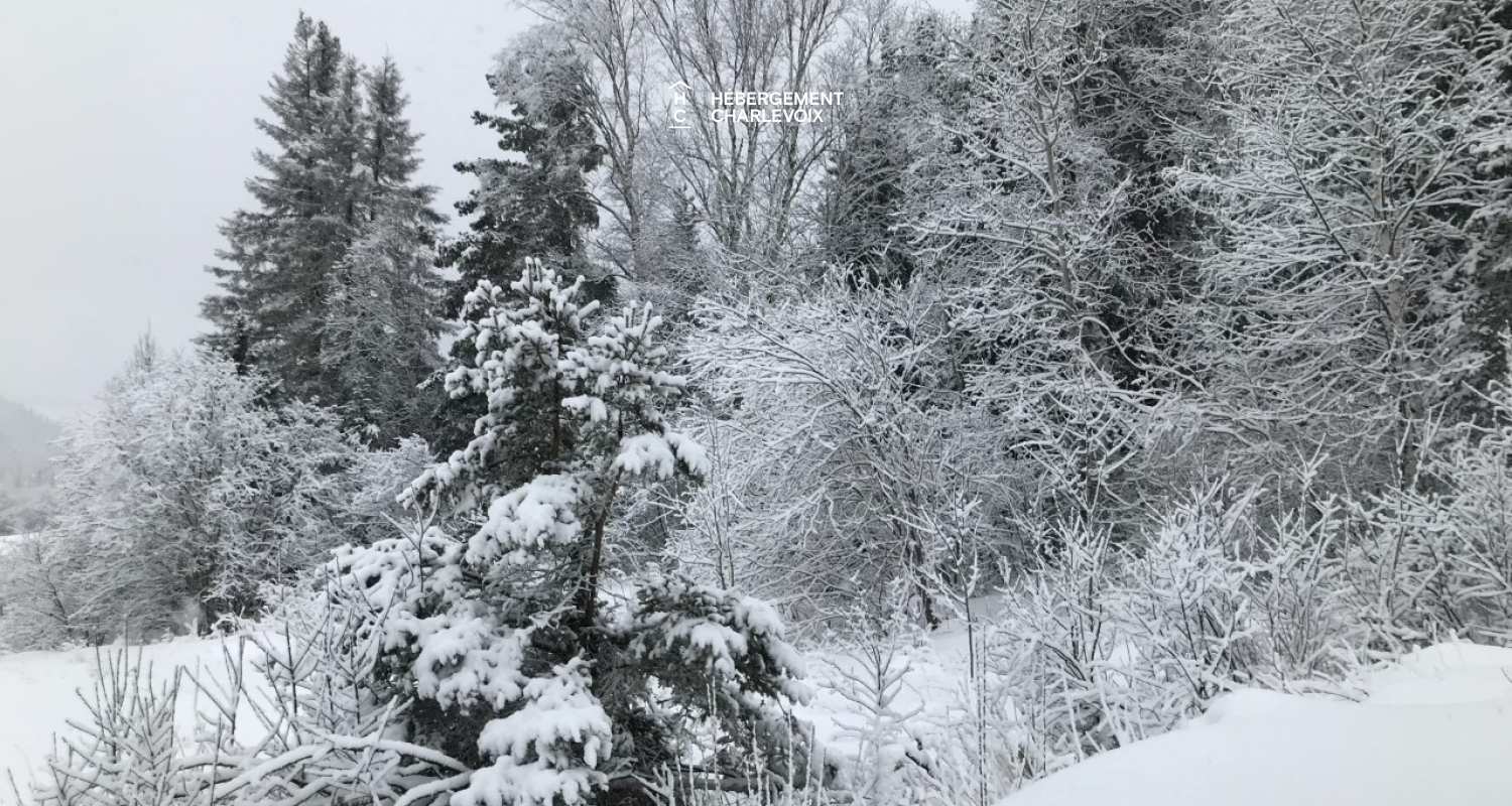 COE-130 - Aux portes du Parc national des Grands-Jardins