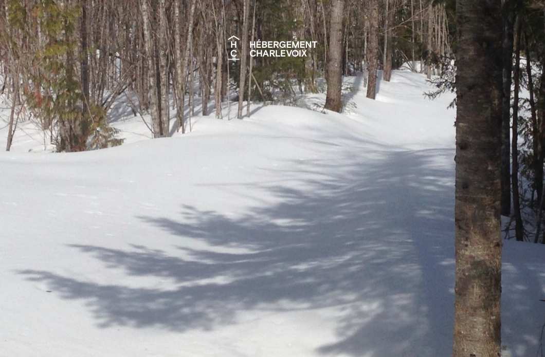 COE-130 - Aux portes du Parc national des Grands-Jardins