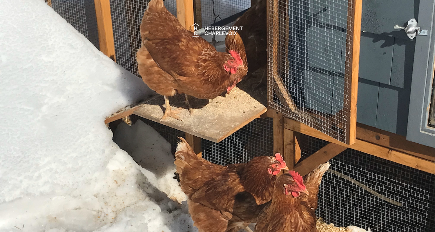 COE-130 - Aux portes du Parc national des Grands-Jardins