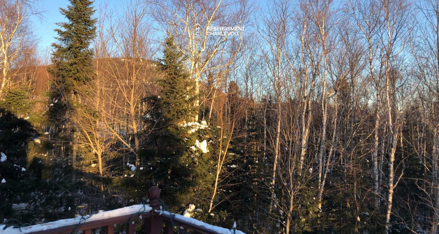 ESC-219 - Une cuisine ouverte pour les moments gourmands