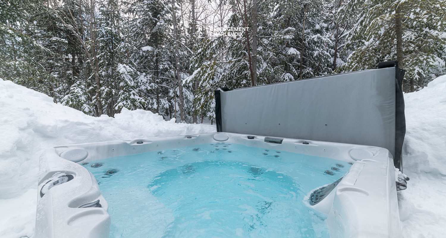 EVO-38 - Havre de paix qui cède toute sa place à la nature charlevoisienne !