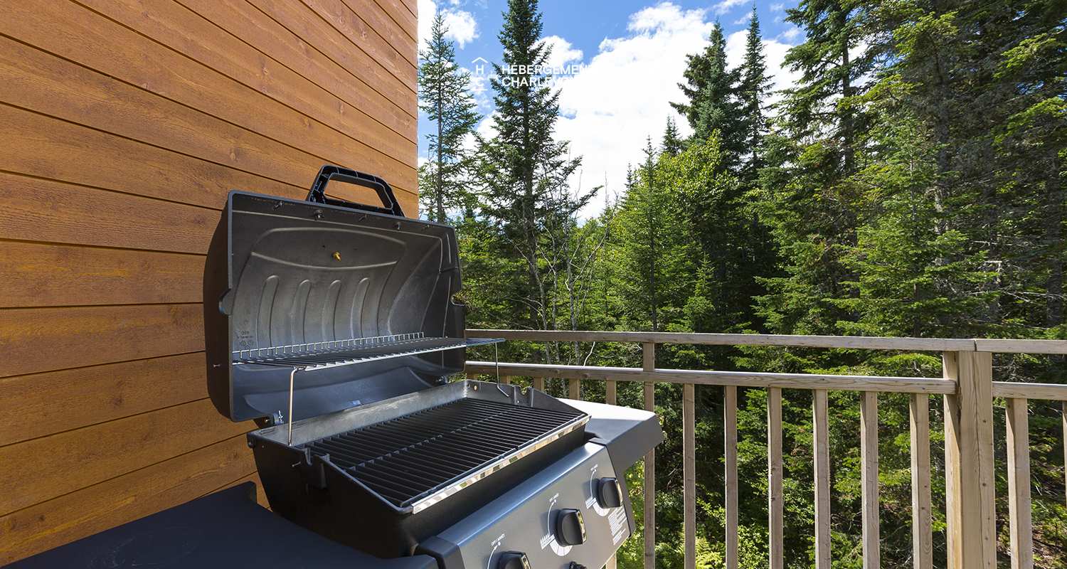 FOR-11 - Modern residence near the ski slopes