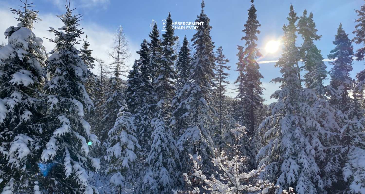 GINA-194 - New chalet, high standard