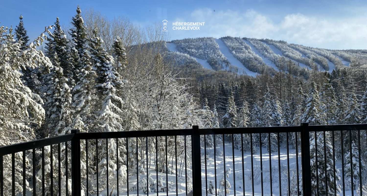 GINA-194 - New chalet, high standard