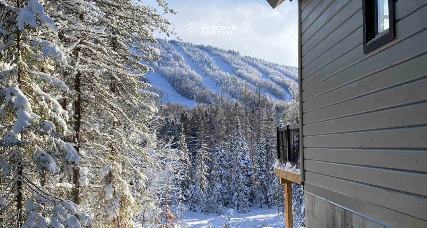 GINA-194 - New chalet, high standard