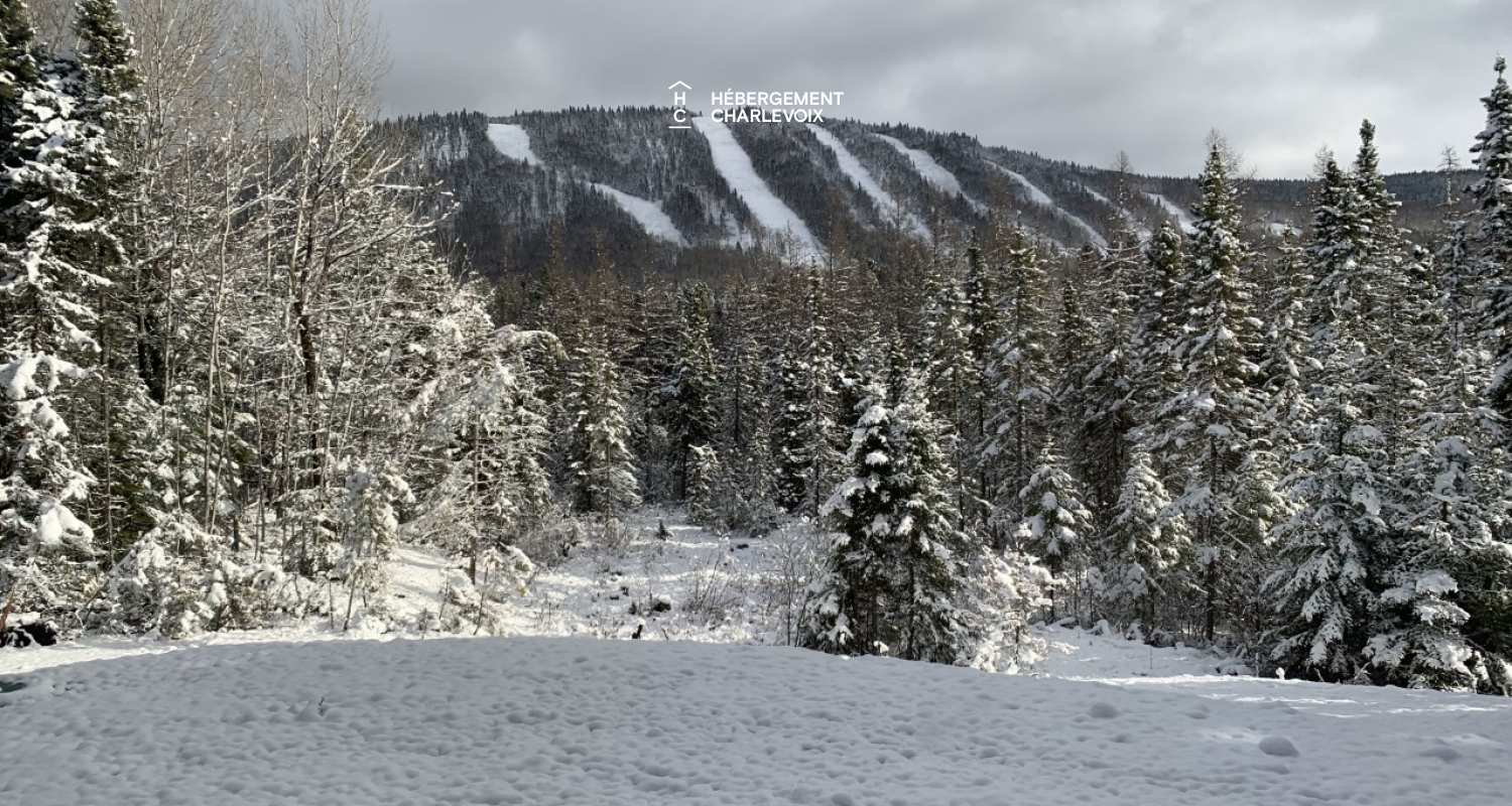 GINA-194 - New chalet, high standard