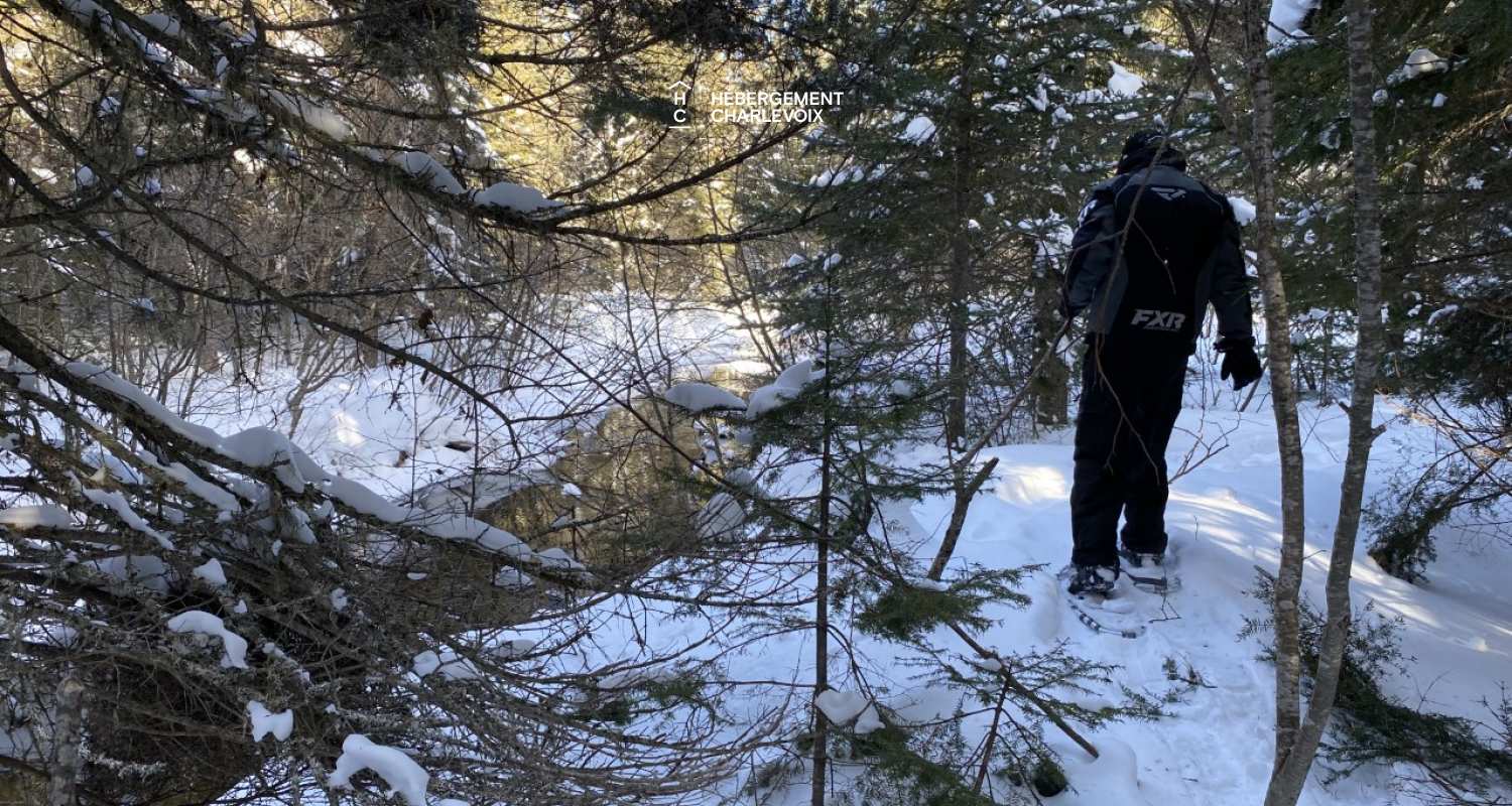 GINA-194 - New chalet, high standard