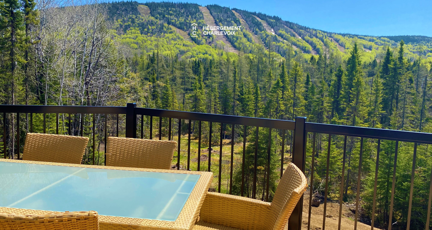 GINA-194 - New chalet, high standard