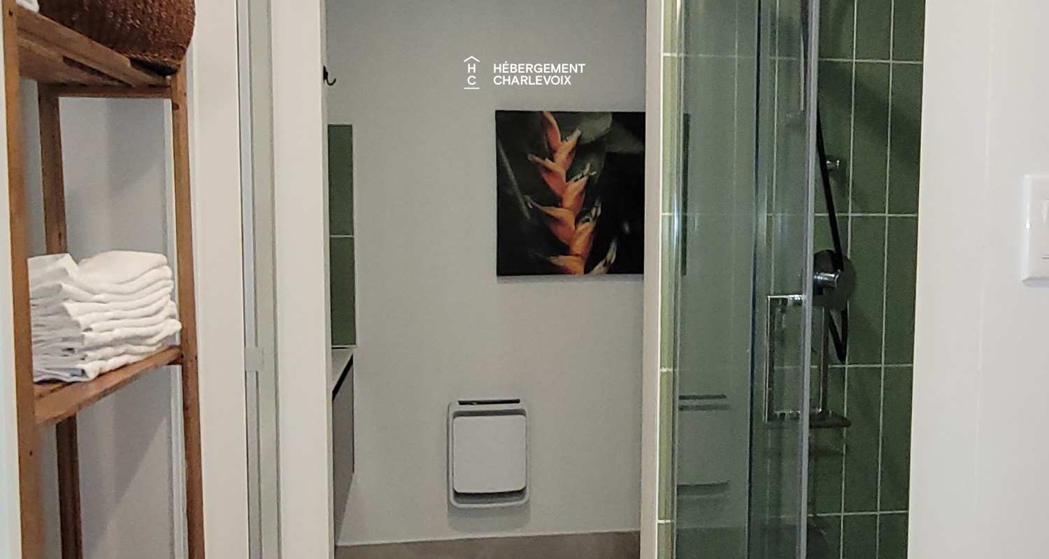 HAV-6 - Majestic view of the St. Lawrence River!