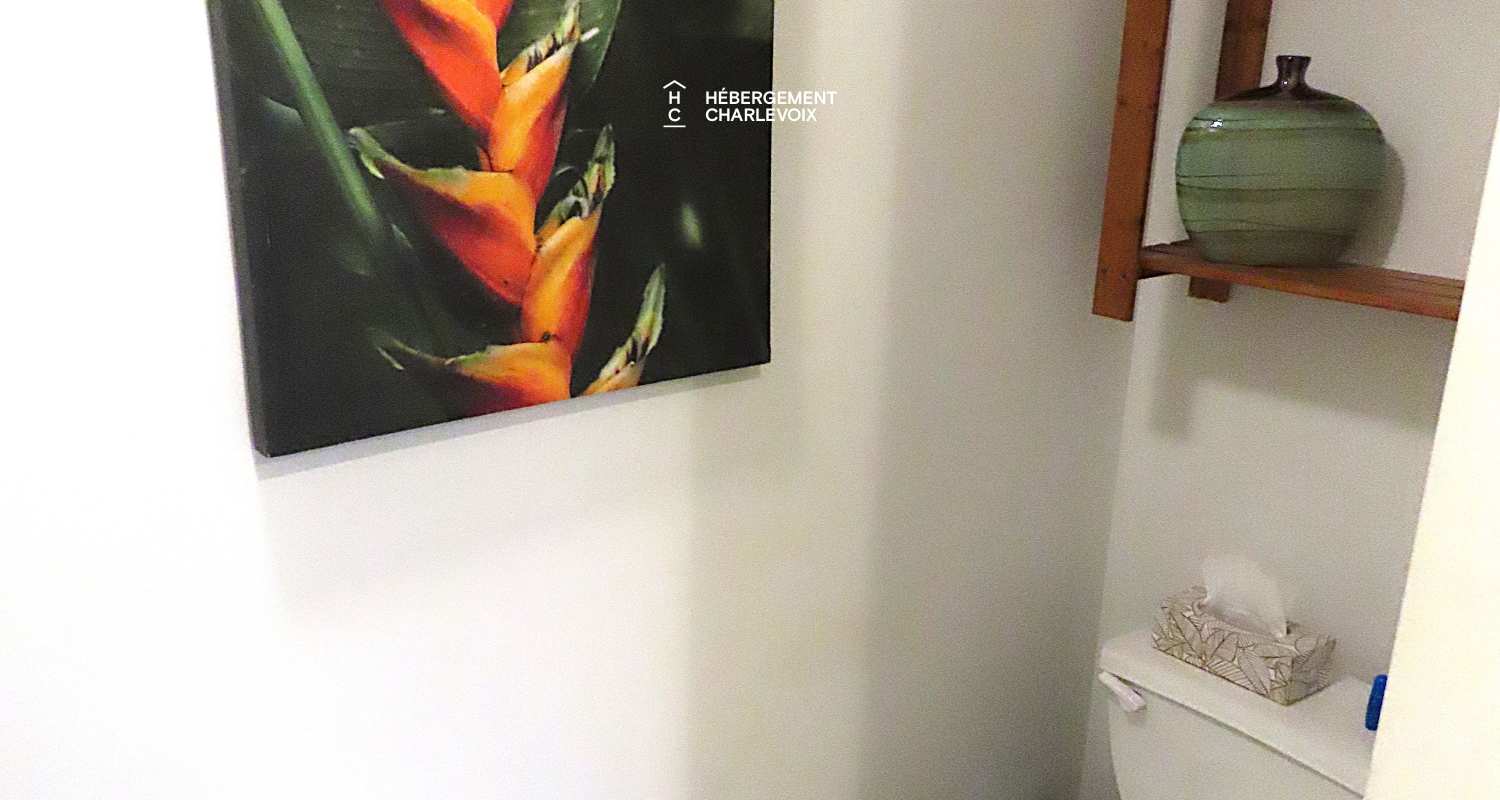 HAV-6 - Majestic view of the St. Lawrence River!