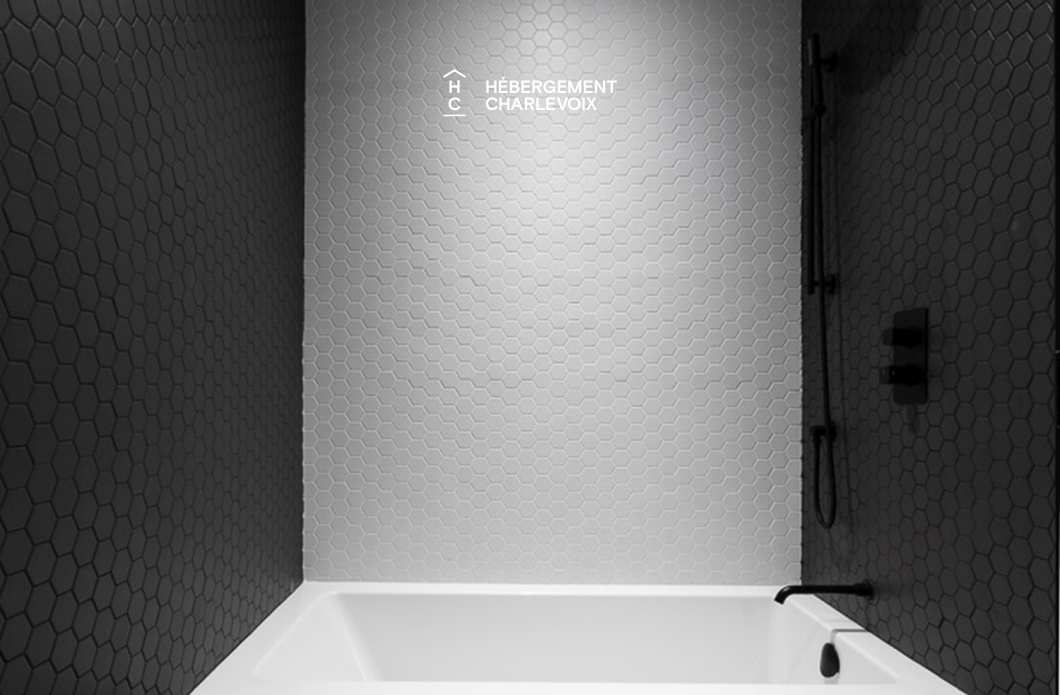 LIT-290 - Chalet contemporain de luxe