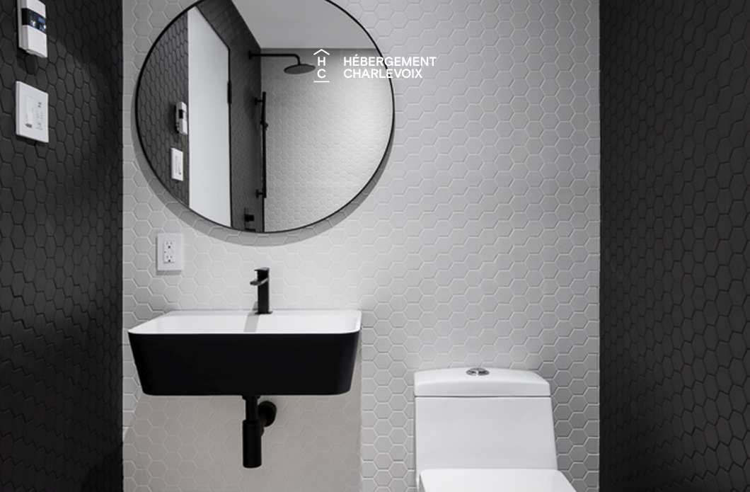 LIT-290 - Chalet contemporain de luxe