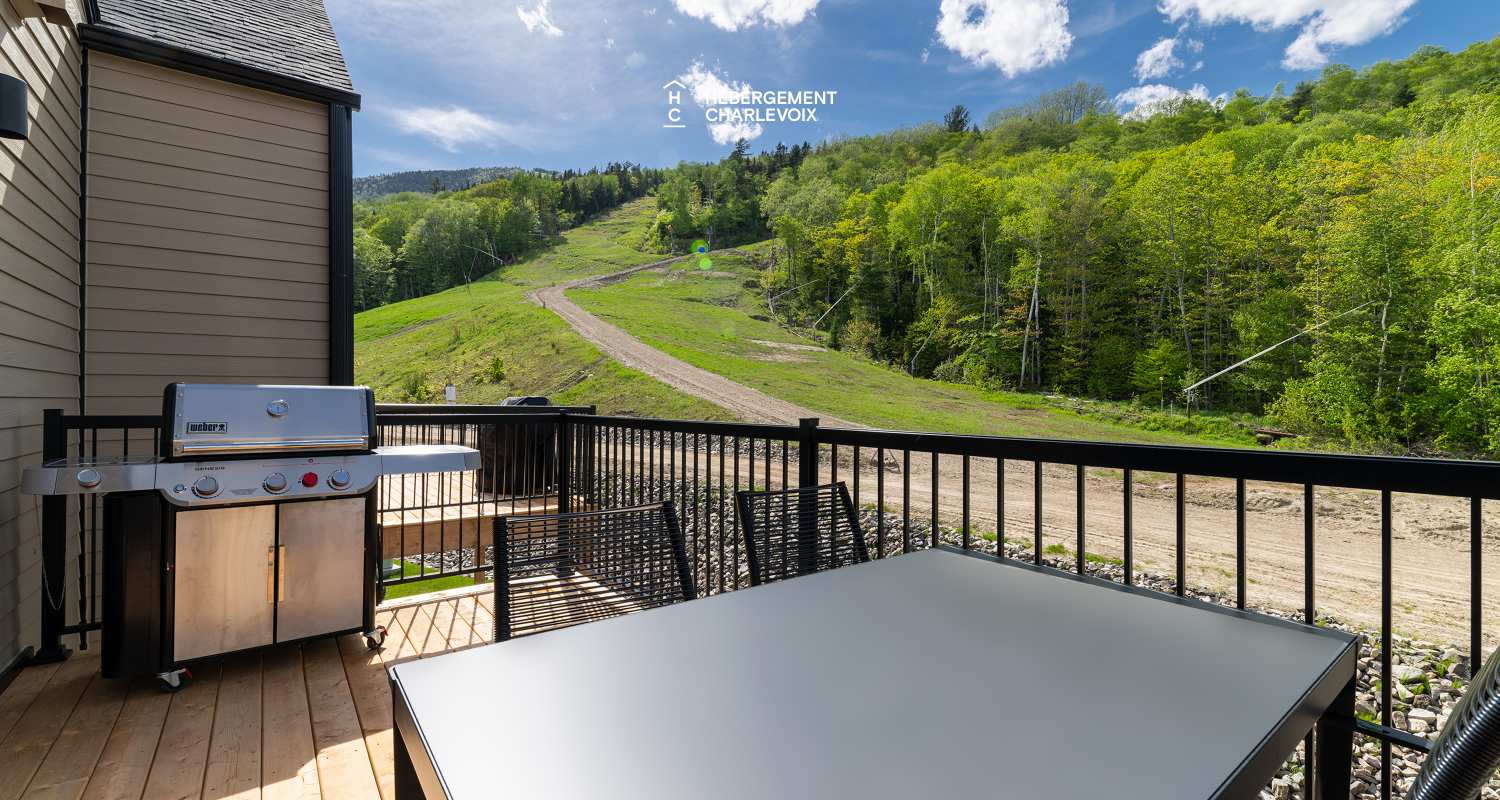 Chalet Grande-Pointe 06 - Idéal pour l'hiver tout comme l'été!