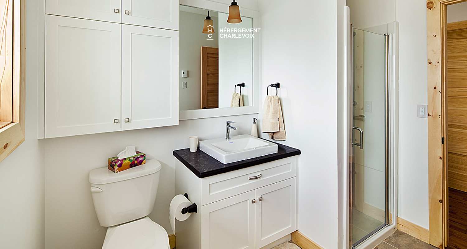 MIR-2 - A nice cottage for winter and summer time