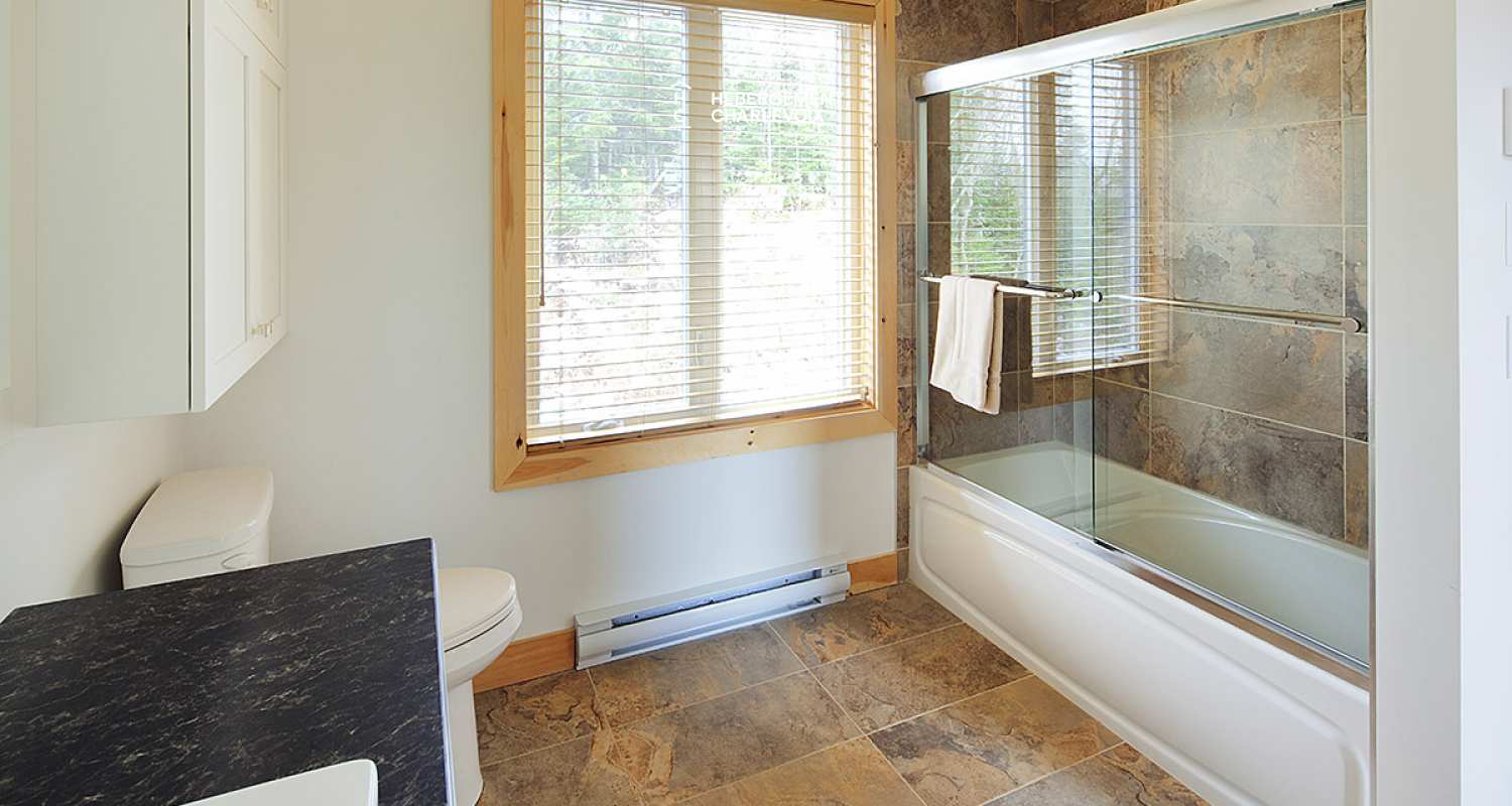 MIR-2 - A nice cottage for winter and summer time