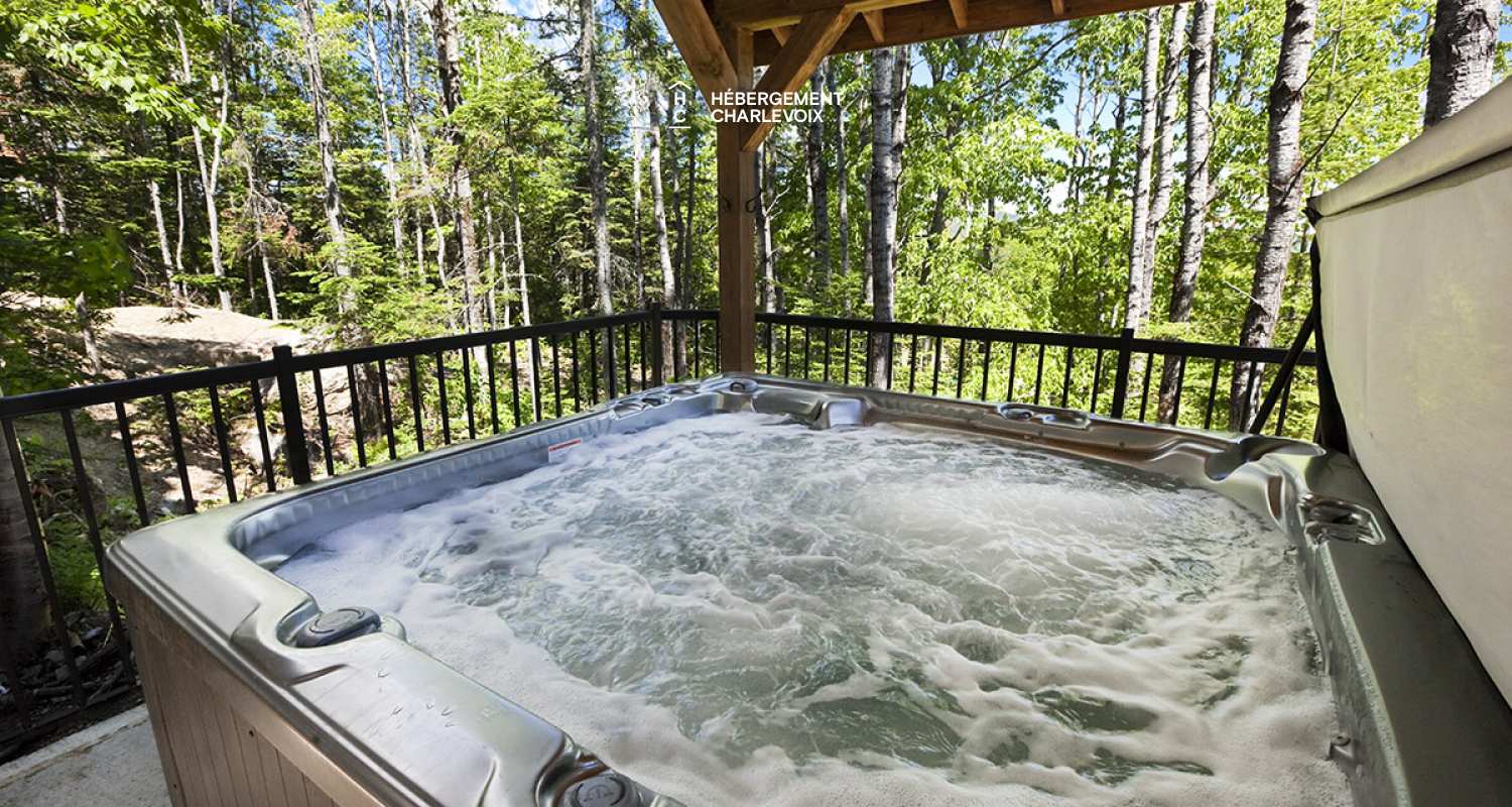 MIR-2 - A nice cottage for winter and summer time