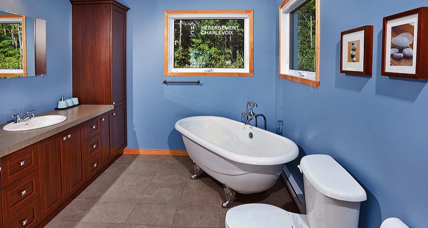 FRE-18 - Mountain refuge in a wild atmosphere