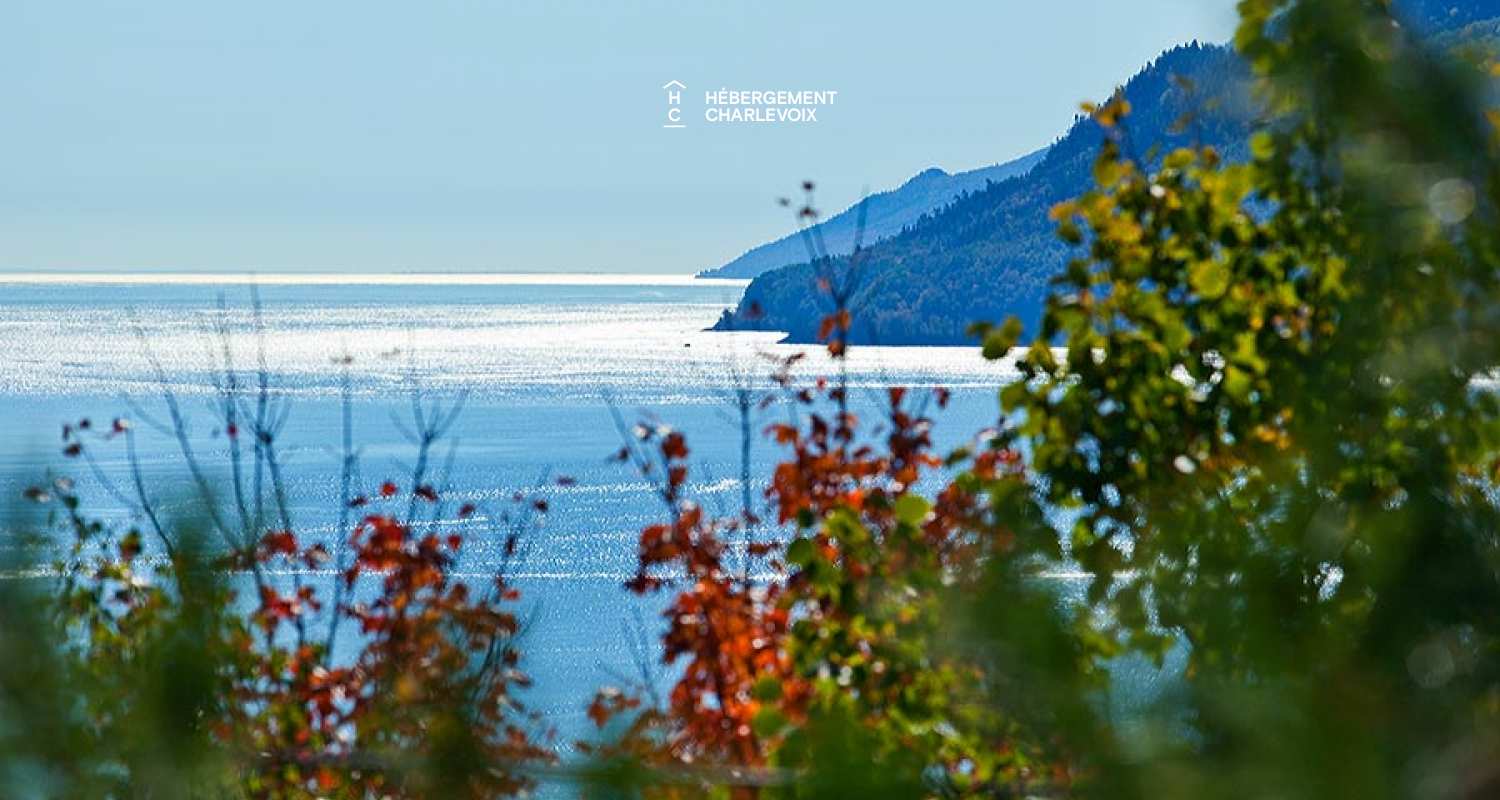 CHU-35 - Un spa accompagné d'une petite cascade d'eau