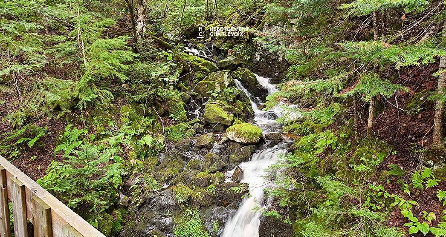 AMA-2 - Équilibre parfait entre moderne et rustique.