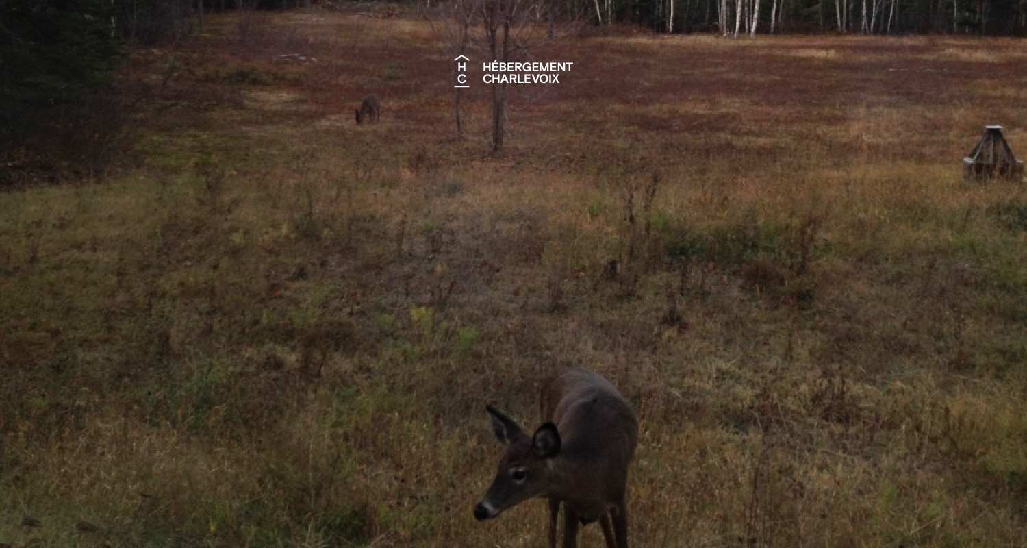 COU-85 - Charming home in the heights of Charlevoix