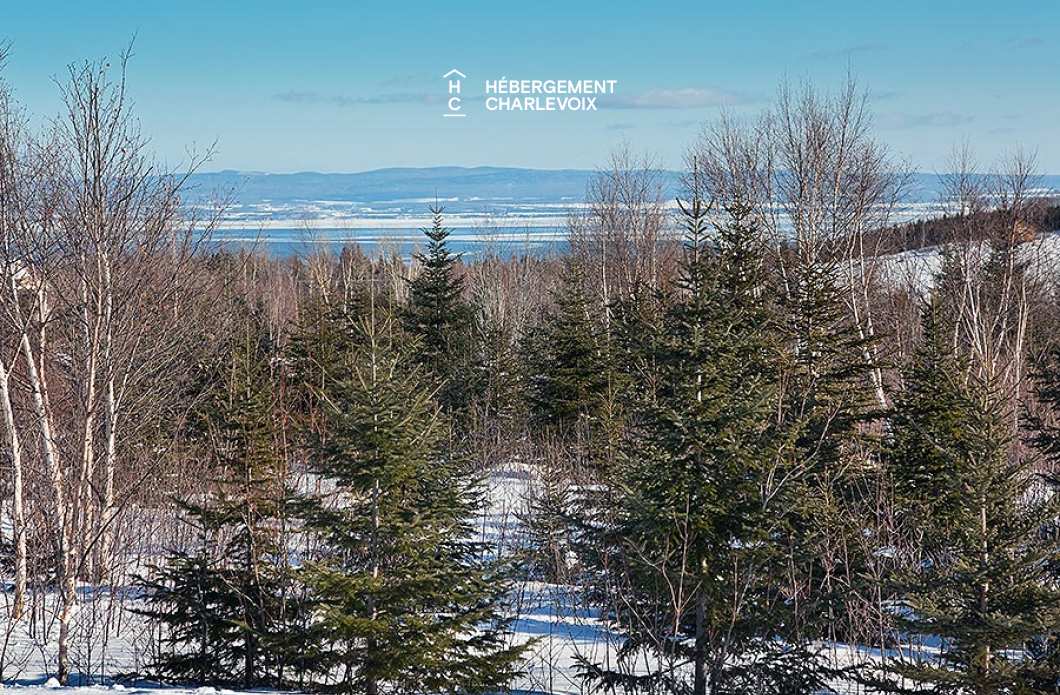 ABA-29 - Havre chaleureux entre fleuve et montagnes!