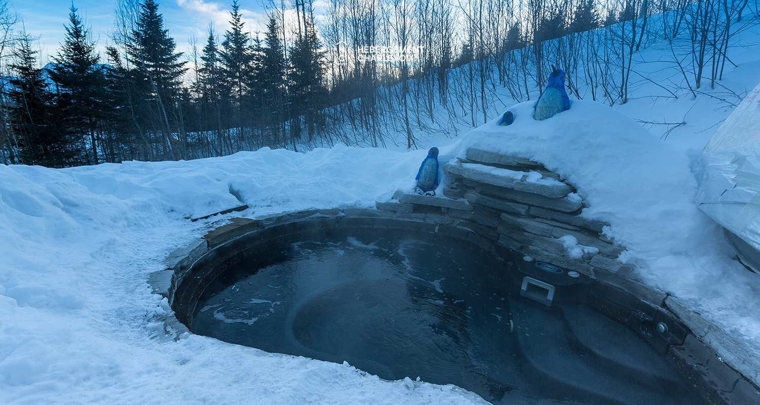 BOI-32 - Subtle marriage of stone and roundwood